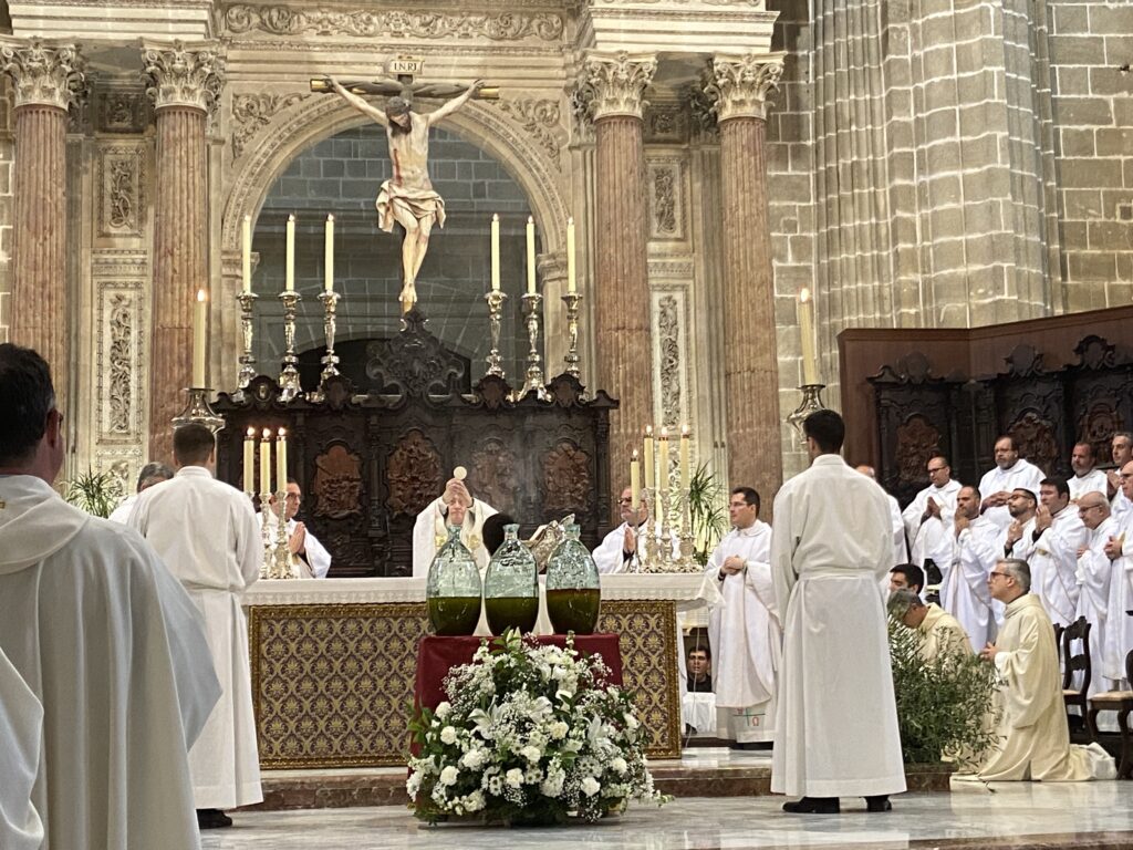 Monseñor José Rico Pavés : «El Papa Francisco nos recuerda con insistencia que la tarea evangelizadora en el momento presente requiere de la audacia de salir al encuentro de las heridas de nuestros contemporáneos»