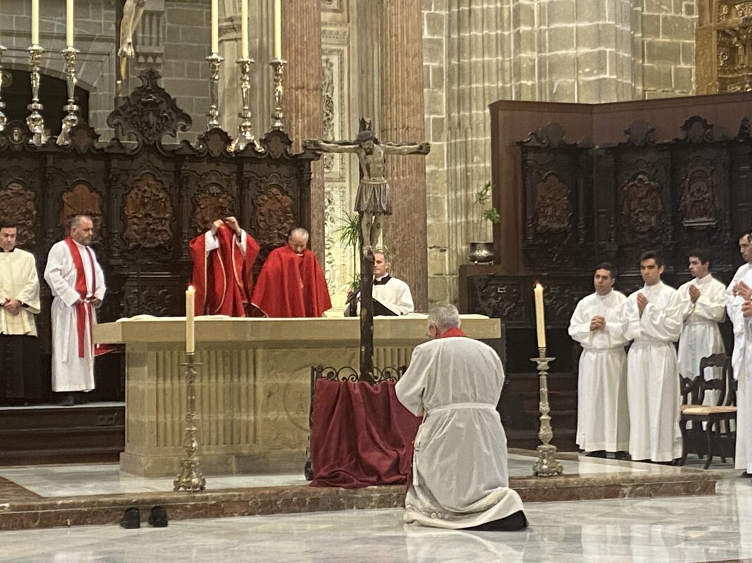 Así se ha vivido la Celebración de la Pasión del Señor